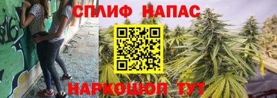 ешки Абакан