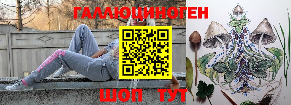 Псилоцибиновые грибы мицелий  Гай 